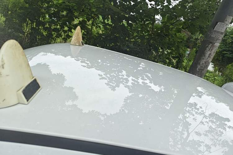 Used Wuling Hongguang MINIEV 2022 Macaron Fashion Model Lithium Iron Phosphate Roof