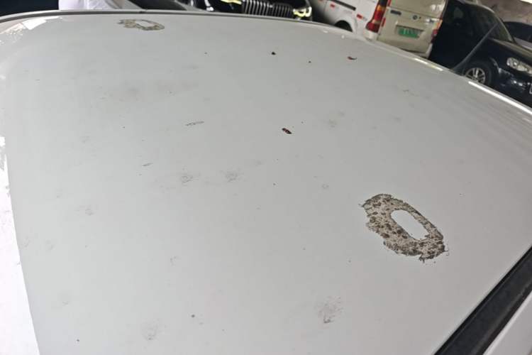 Used Wuling Hongguang MINIEV 2022 Macaron Fashion Model Lithium Iron Phosphate Roof