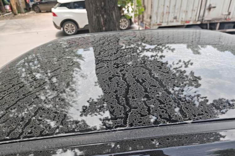 Used Wuling Hongguang MINIEV 2022 Macaron Fashion Model Lithium Iron Phosphate Roof