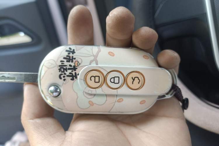 Used Wuling Hongguang MINIEV 2022 Macaron Fashion Model Lithium Iron Phosphate Vehicle Key