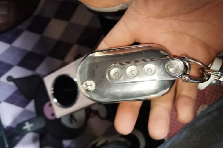 Used Wuling Hongguang MINIEV 2022 Macaron Fashion Model Lithium Iron Phosphate Vehicle Key