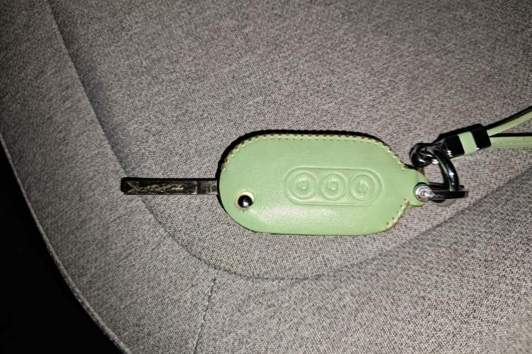 Used Wuling Hongguang MINIEV 2022 Macaron Fashion Model Lithium Iron Phosphate Vehicle Key