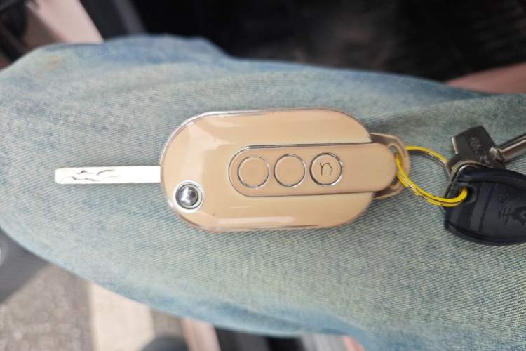 Used Wuling Hongguang MINIEV 2022 Easy Version Lithium-NMC Vehicle Key
