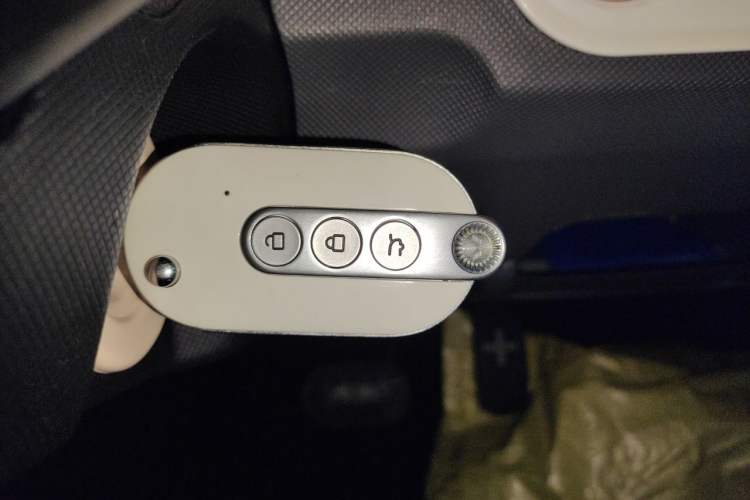 Used Wuling Hongguang MINIEV 2022 Macaron Fashion Edition Lithium-Nickel-Cobalt-Alpha-oxide Vehicle Key