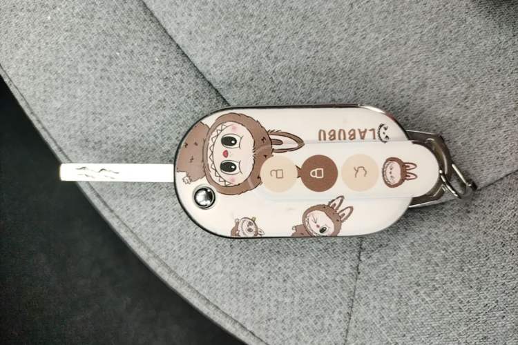 Used Wuling Hongguang MINIEV 2022 Macaron Premium Model – Lithium Iron Phosphate Vehicle Key