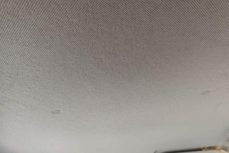Used Wuling Hongguang MINIEV 2022 Enjoy Edition Lithium Iron Phosphate Headliner