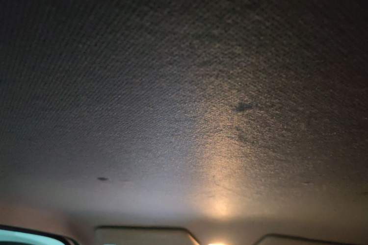 Used Wuling Hongguang MINIEV 2022 Enjoy Edition Lithium Iron Phosphate Headliner