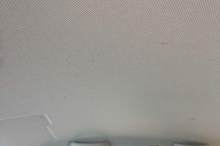 Used Wuling Hongguang MINIEV 2022 Zizai Version Lithium Iron Phosphate Headliner