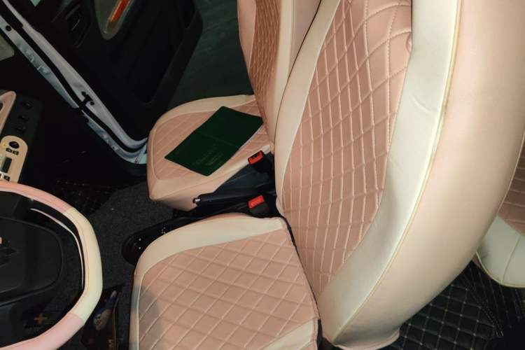 Used Wuling Hongguang MINIEV 2022 Enjoy Edition Lithium Iron Phosphate Left Front Seat