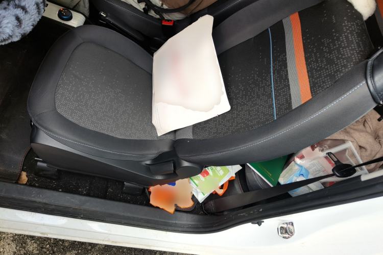 Used Wuling Hongguang MINIEV 2022 Easy Version Lithium Iron Phosphate Left Front Seat