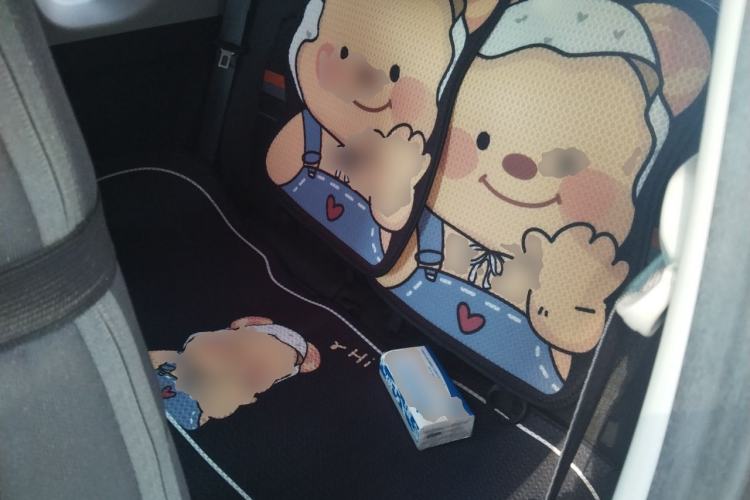 Used Wuling Hongguang MINIEV 2022 Enjoy Edition Lithium-Ion Battery Left Rear Seat