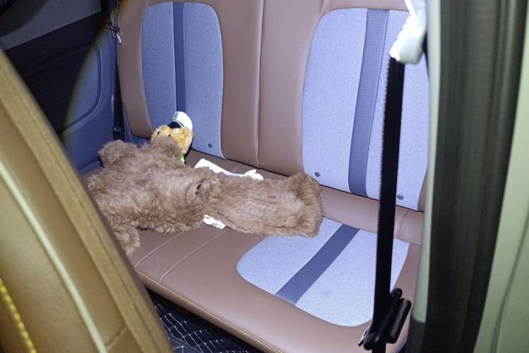 Used Wuling Hongguang MINIEV 2022 GAMEBOY 300km Enthusiast Model with Lithium Iron Phosphate Left Rear Seat