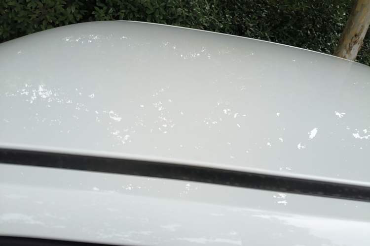 Used Wuling Hongguang MINIEV 2022 Enjoy Edition Lithium Iron Phosphate Roof