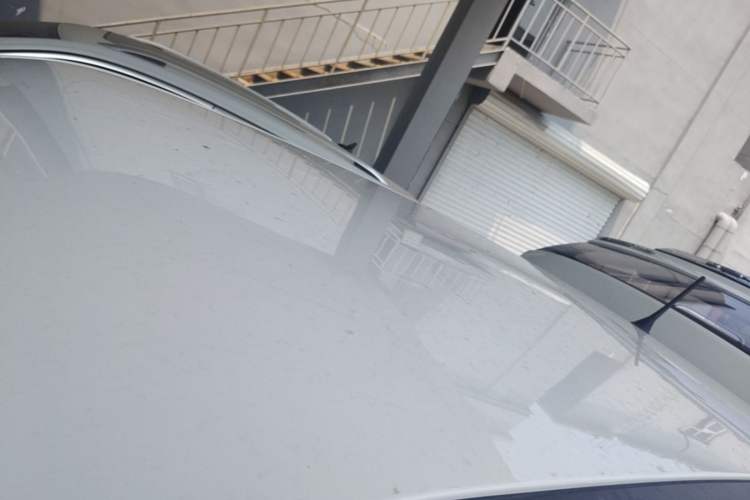 Used Wuling Hongguang MINIEV 2022 Easy Version Lithium Iron Phosphate Roof