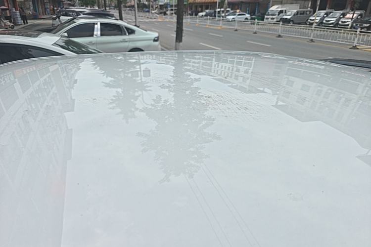 Used Wuling Hongguang MINIEV 2022 Zizai Version Lithium-NMC Roof