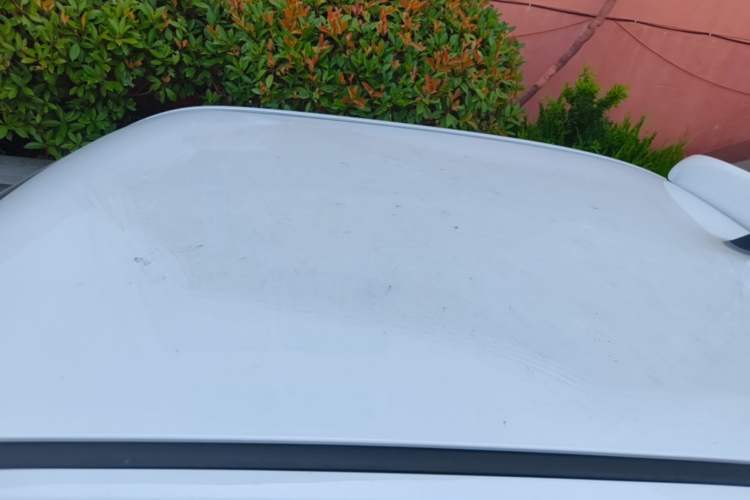 Used Wuling Hongguang MINIEV 2022 Macaron Fashion Model Lithium Iron Phosphate Roof