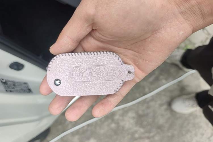 Used Wuling Hongguang MINIEV 2022 Macaron Fashion Model Lithium Iron Phosphate Vehicle Key