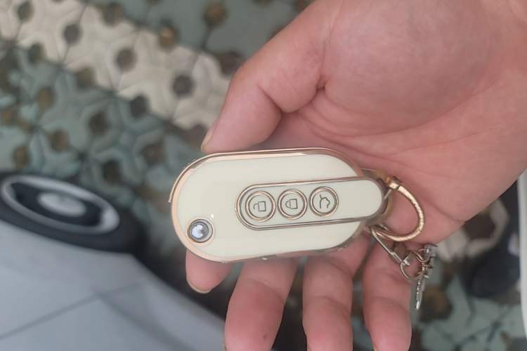 Used Wuling Hongguang MINIEV 2022 Enjoy Edition Lithium Iron Phosphate Vehicle Key