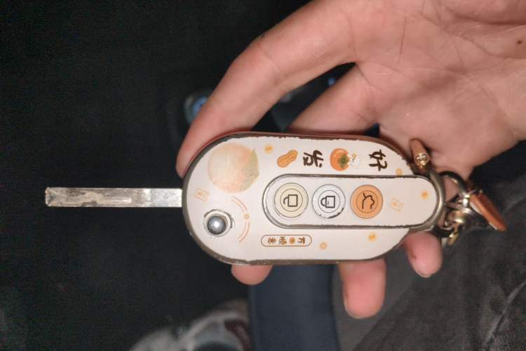 Used Wuling Hongguang MINIEV 2022 GAMEBOY 300km Enthusiast Model with Lithium Iron Phosphate Vehicle Key