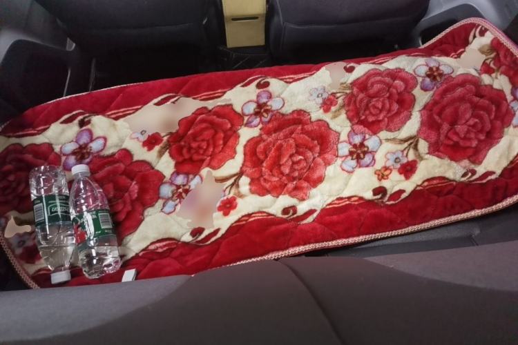 Used Wuling Hongguang MINIEV 2022 Macaron Fashion Edition Lithium-Nickel-Cobalt-Alpha-oxide Left Rear Seat