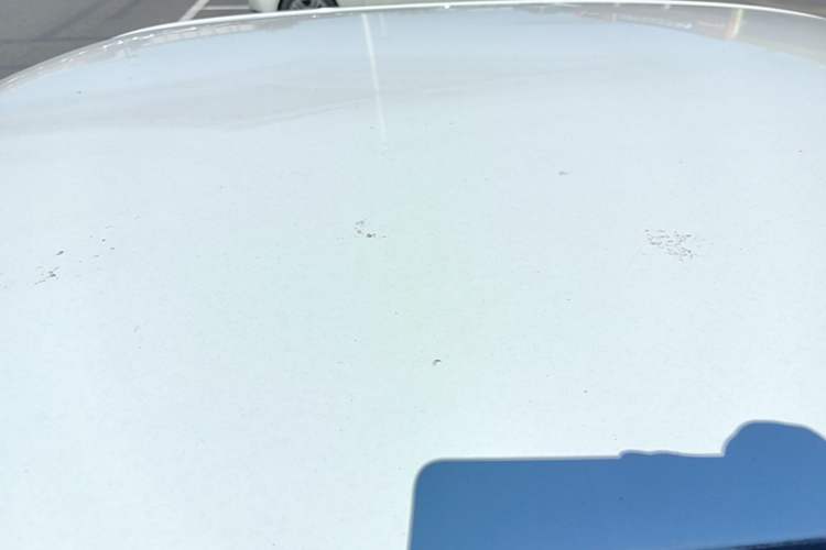 Used Wuling Hongguang MINIEV 2022 Macaron Fashion Model Lithium Iron Phosphate Roof