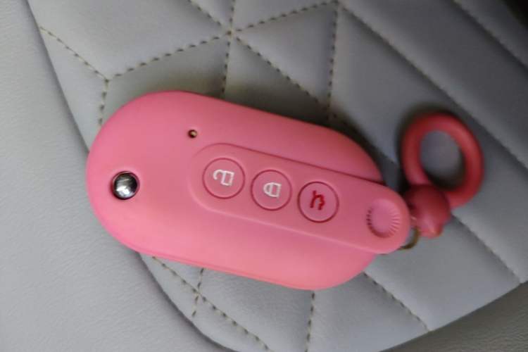 Used Wuling Hongguang MINIEV 2022 Macaron-Color Edition Lithium Iron Phosphate Vehicle Key