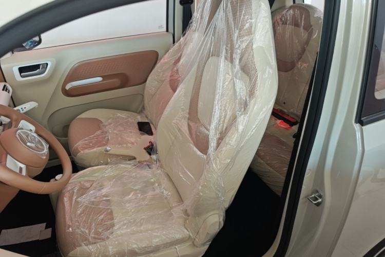 Used Wuling Hongguang MINIEV 2024 3rd Generation 215km Youth Edition Left Front Seat