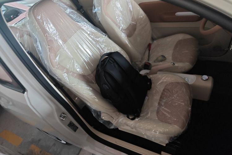 Used Wuling Hongguang MINIEV 2024 3rd Generation 215km Youth Edition Right Front Seat