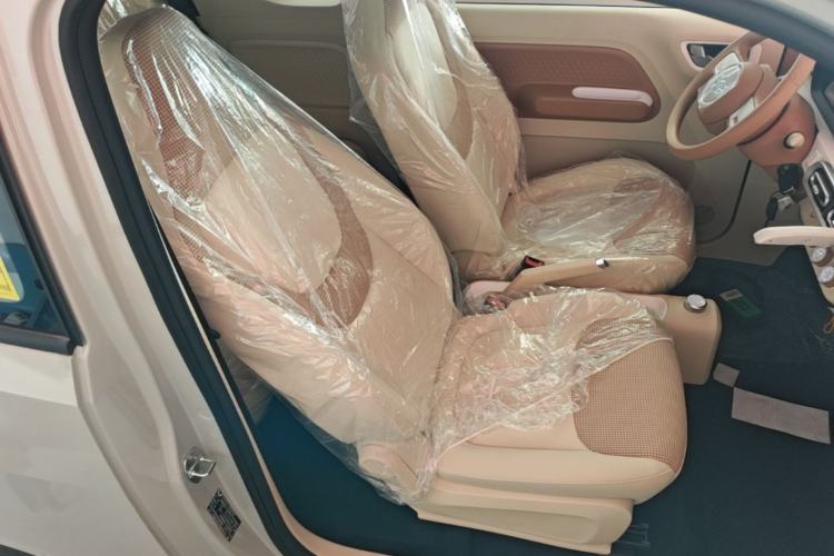 Used Wuling Hongguang MINIEV 2024 3rd Generation 215km Youth Edition Right Front Seat