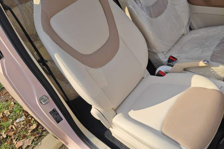 Used Wuling Hongguang MINIEV 2024 3rd Generation 215km Youth Edition Right Front Seat