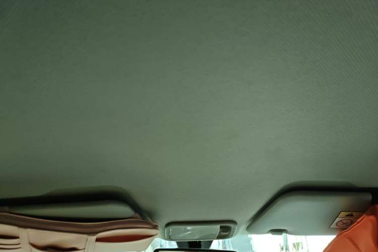 Used Wuling Hongguang MINIEV 2024 3rd Generation 215km Youth Edition Headliner
