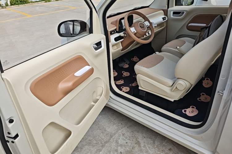Used Wuling Hongguang MINIEV 2024 3rd Generation 215km Youth Edition Driver Seat