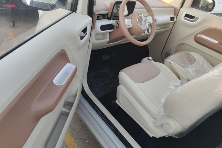 Used Wuling Hongguang MINIEV 2024 3rd Generation 215km Youth Edition Driver Seat
