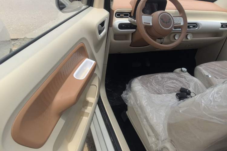 Used Wuling Hongguang MINIEV 2024 3rd Generation 215km Youth Edition Driver Seat