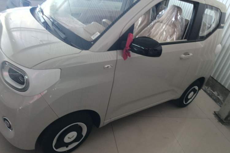 Used Wuling Hongguang MINIEV 2024 3rd Generation 215km Youth Edition Exterior 3