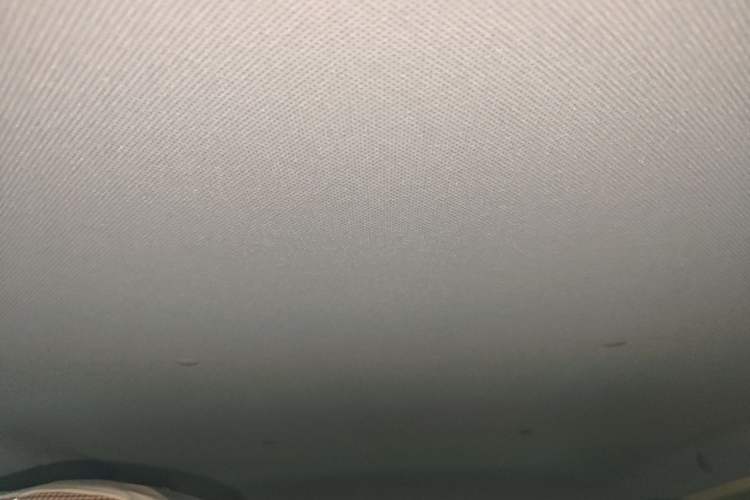 Used Wuling Hongguang MINIEV 2024 3rd Generation 215km Youth Edition Headliner