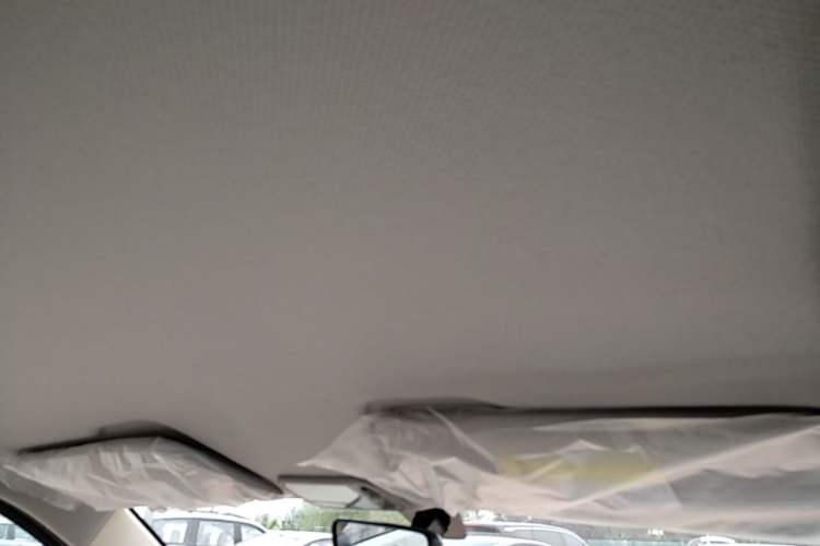 Used Wuling Hongguang MINIEV 2024 3rd Generation 215km Youth Edition Headliner