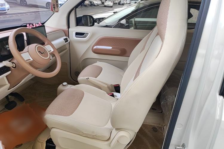 Used Wuling Hongguang MINIEV 2024 3rd Generation 215km Youth Edition Left Front Seat