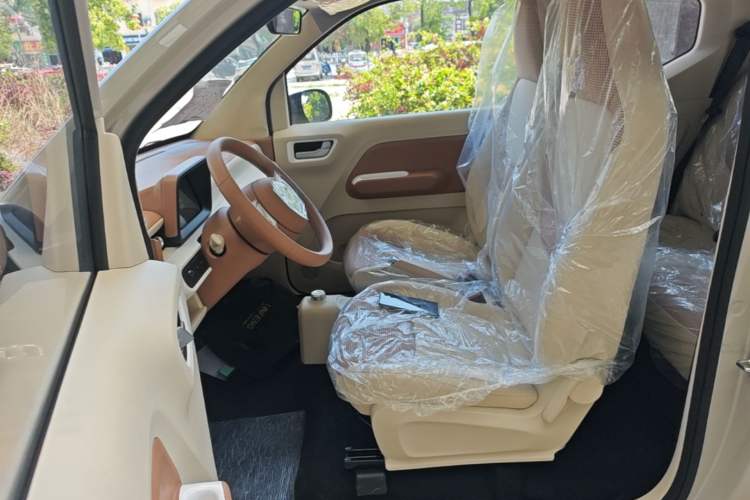 Used Wuling Hongguang MINIEV 2024 3rd Generation 215km Youth Edition Left Front Seat