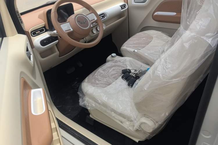 Used Wuling Hongguang MINIEV 2024 3rd Generation 215km Youth Edition Left Front Seat