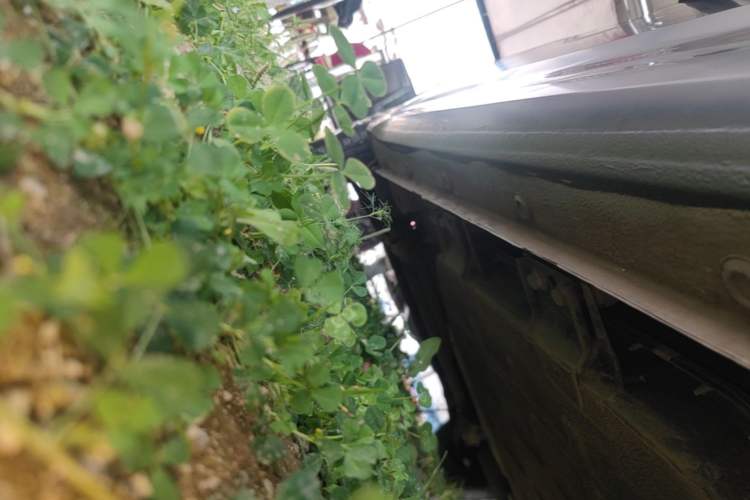 Used Wuling Hongguang MINIEV 2024 3rd Generation 215km Youth Edition Left Side Sill