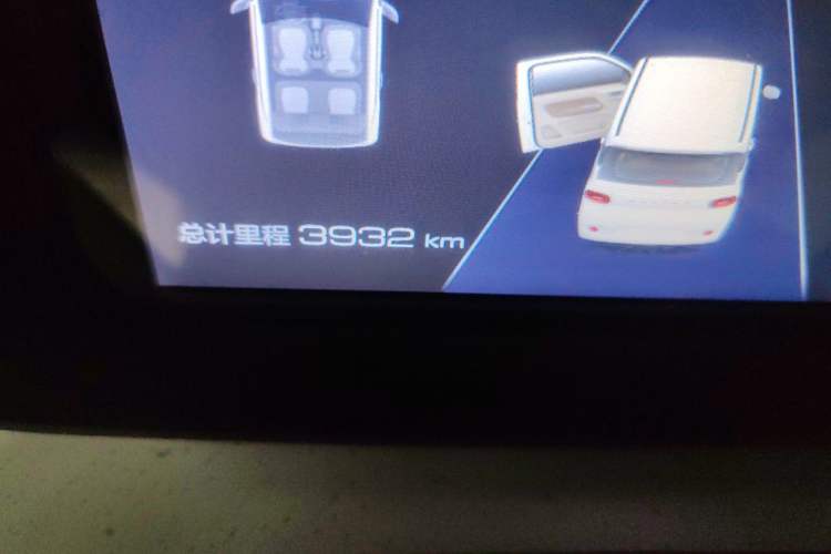 Used Wuling Hongguang MINIEV 2024 3rd Generation 215km Youth Edition Odometer Close Up