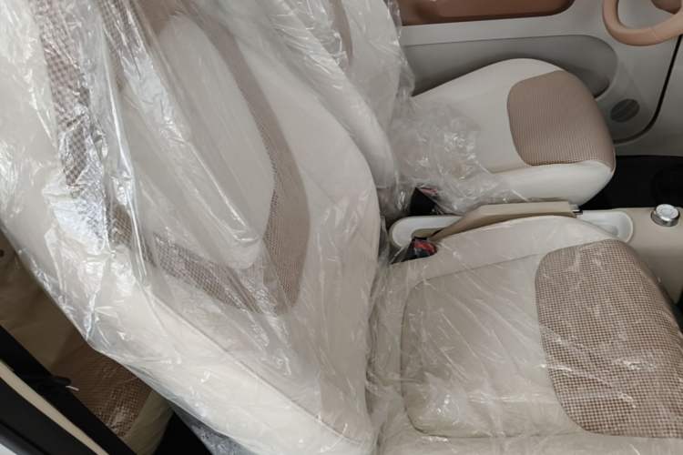 Used Wuling Hongguang MINIEV 2024 3rd Generation 215km Youth Edition Right Front Seat