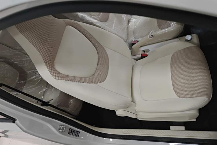 Used Wuling Hongguang MINIEV 2024 3rd Generation 215km Youth Edition Right Front Seat