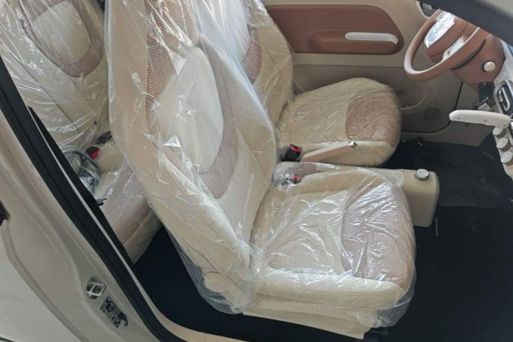 Used Wuling Hongguang MINIEV 2024 3rd Generation 215km Youth Edition Right Front Seat