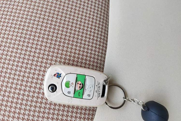 Used Wuling Hongguang MINIEV 2024 3rd Generation 215km Youth Edition Vehicle Key