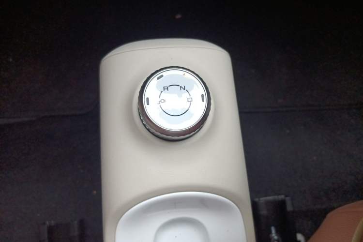 Used Wuling Hongguang MINIEV 2024 3rd Generation 215km Youth Edition Gear Lever