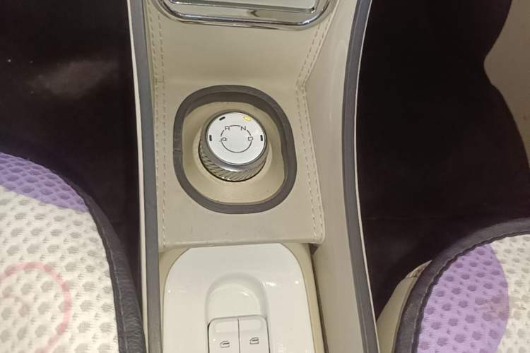 Used Wuling Hongguang MINIEV 2024 3rd Generation 215km Advanced Version Gear Lever