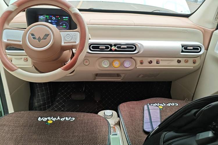 Used Wuling Hongguang MINIEV 2024 3rd Generation 215km Youth Edition Audio And AC Panel