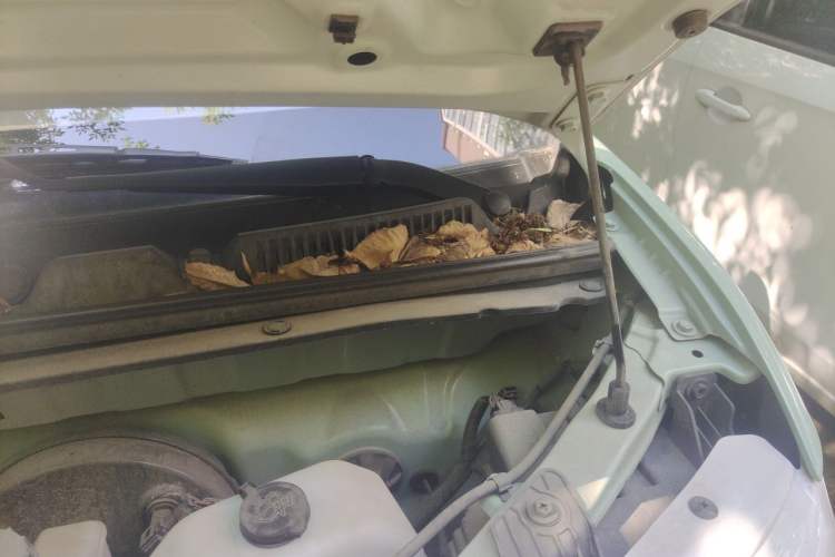 Used Wuling Hongguang MINIEV 2024 3rd Generation 215km Youth Edition Engine Bay Left
